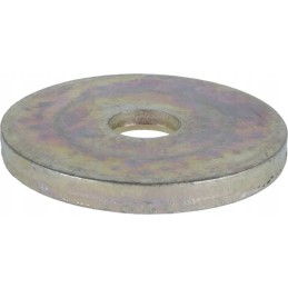 Plokščia poveržlė