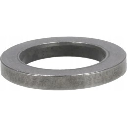 Plokščia poveržlė