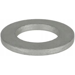 Plokščia poveržlė