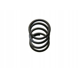 Spyruoklė 5060020290 bizon motogeneric