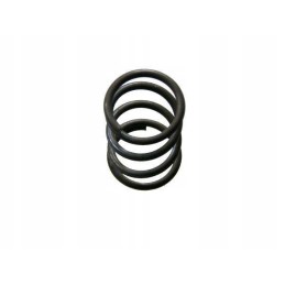 Spyruoklė 5060020290 bizon motogeneric