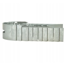 Pagrindinių guolių komplektas n025, 1 bimetalinis pjūvis