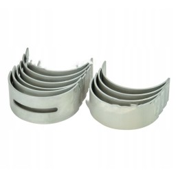 Pagrindinių guolių komplektas n025, 1 bimetalinis pjūvis