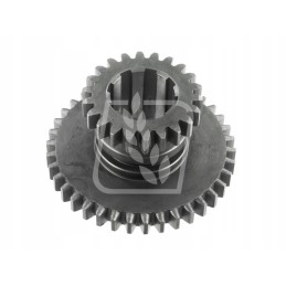 Pavarų dėžė dviguba žvaigždutė z22 z38 06238419