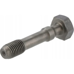 Švaistiklio varžtas