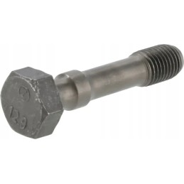 Švaistiklio varžtas