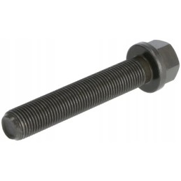 Švaistiklio varžtas