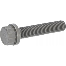 Švaistiklio varžtas