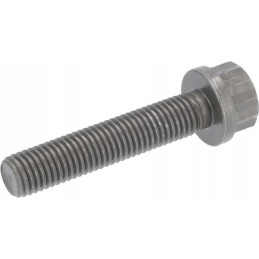 Švaistiklio varžtas