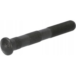 Švaistiklio varžtas