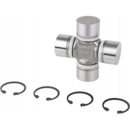 Polosijos kryžiuočių riteris