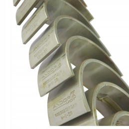 Pagrindinių guolių komplektas n 0 50 II grind 4640102