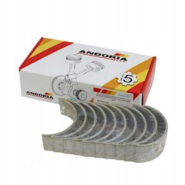 Pagrindinių guolių komplektas n 0 50 II grind 4640102