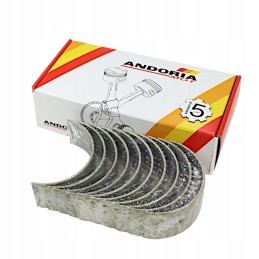 Pagrindinių guolių komplektas n 0 25 ir poliruotas ursus c 385