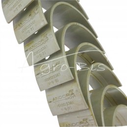 Pagrindinių guolių rinkinys n 0 75 iii grind 3134024k