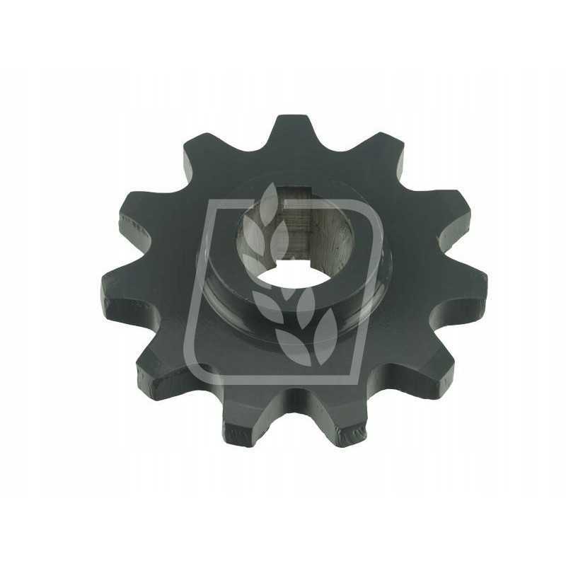 Žvaigždė z11 06549862