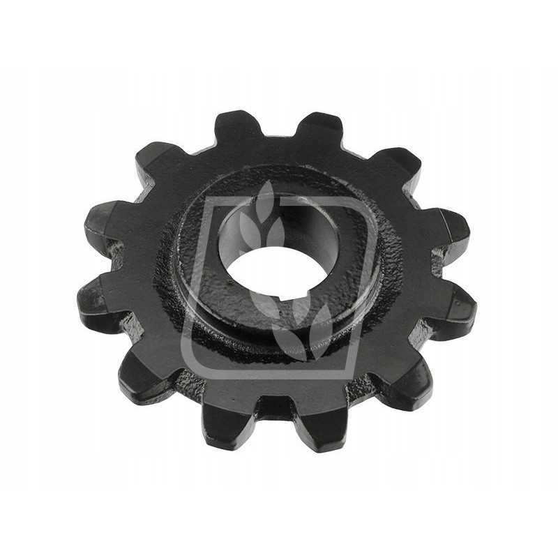 Žvaigždė z12 84072022