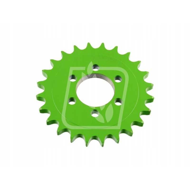 Žvaigždė z24 06242313