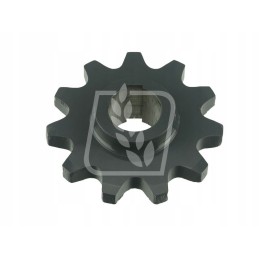 Žvaigždė z11 06549862