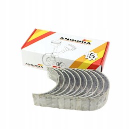 Pagrindinių guolių komplektas n 0 50 II šlifavimas Ursus C 385