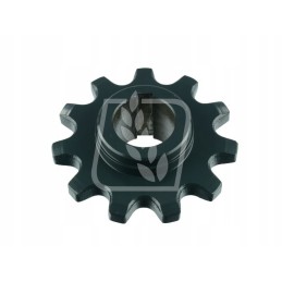 Žvaigždė z11 630351