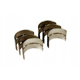 Pagrindinių švaistiklio guolių komplektas