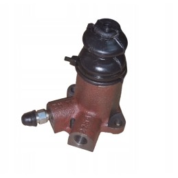 Bizono vergo cilindro rekordas nuo 058 m