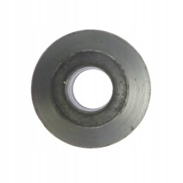 Claas pašarų kombaino išorinis peilių krūmas