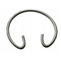 Variklinis bizono žiedas