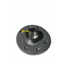 Korpusas su guoliu fi45 687349