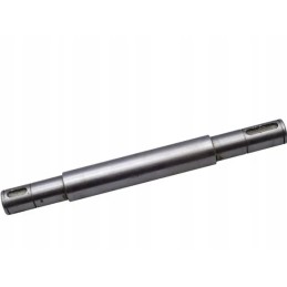 Dubenėlio padavimo volelis tinka bizonui