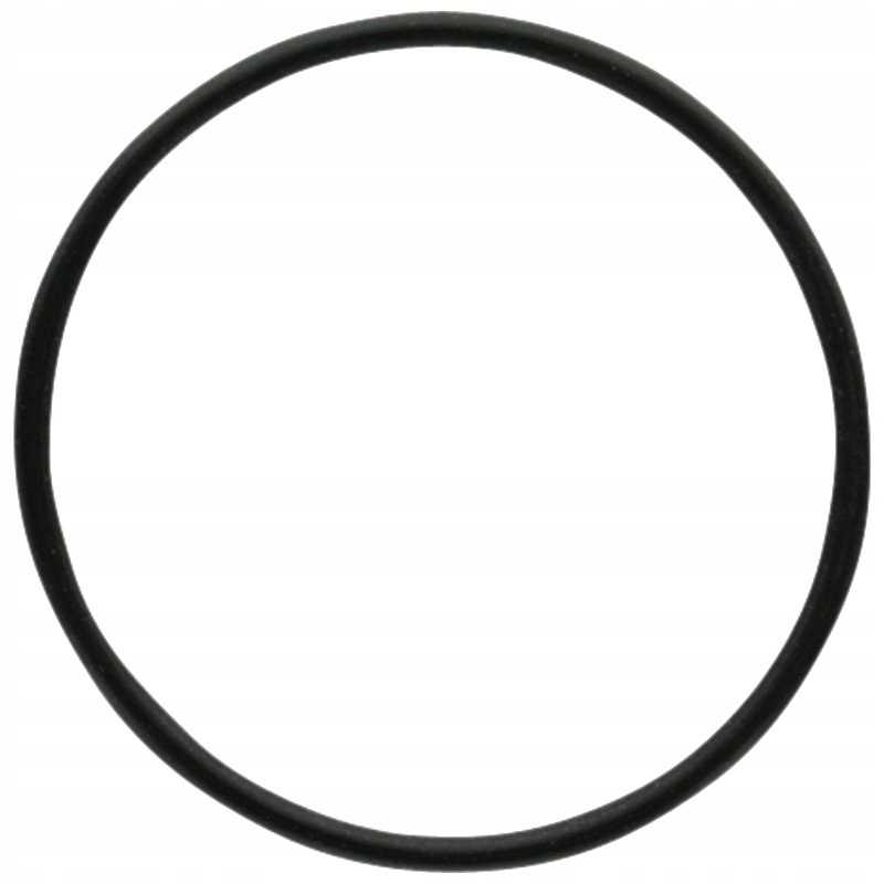 Oring fendt 70806328 x548936066000 granitas