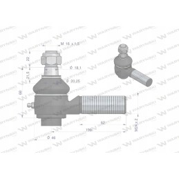 Sustiprinta, sutrumpinta jungtis su bizonų reguliavimu