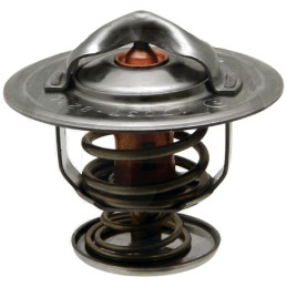 New Holland termostatas 87803664