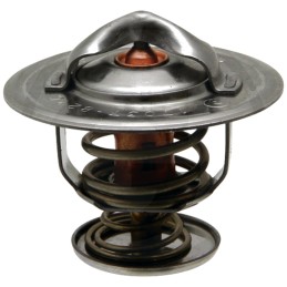 New Holland termostatas 87803664