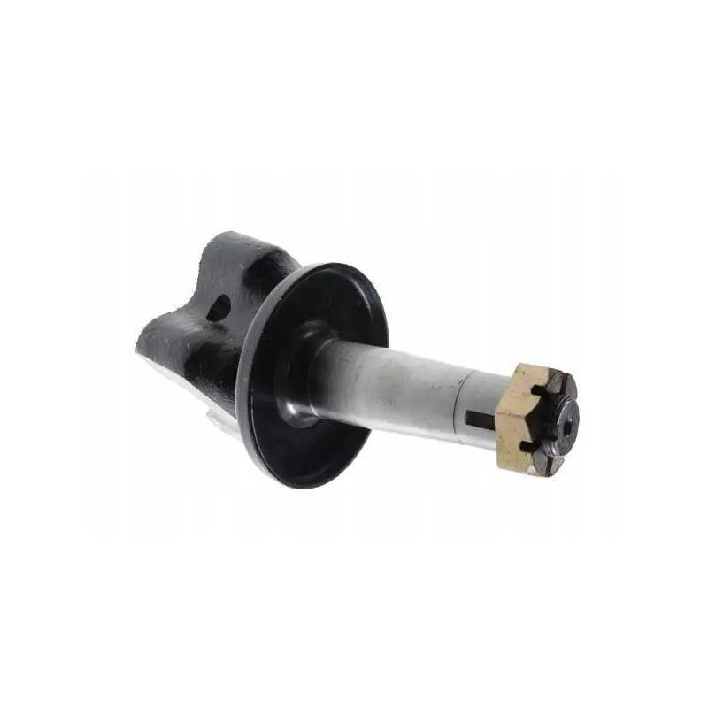 Kaištis 16 su veržle c 330 360