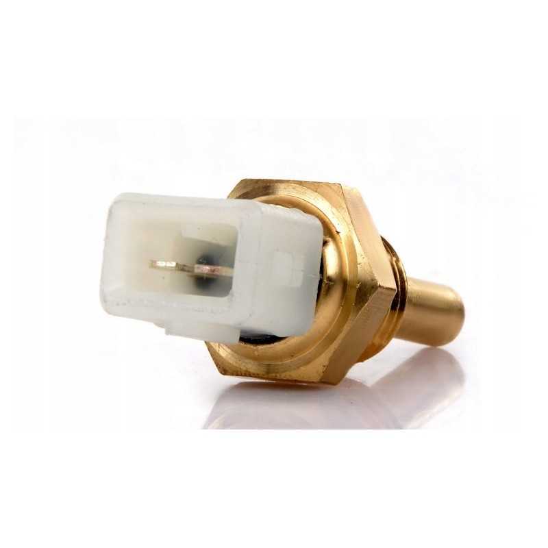 Temperatūros jutiklis mf m14x1 5 3618249m3