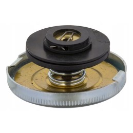 81711544n dangtelis 2 3 16 tinka Ford