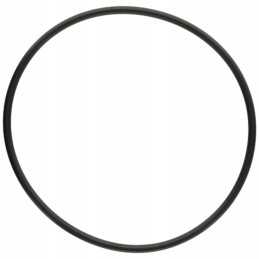 Oring 5450634349606 f824100090580 zf