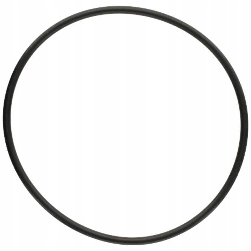 Oring 5450634349606 f824100090580 zf