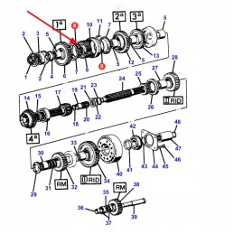 981917m1 apsauginė spyruoklė