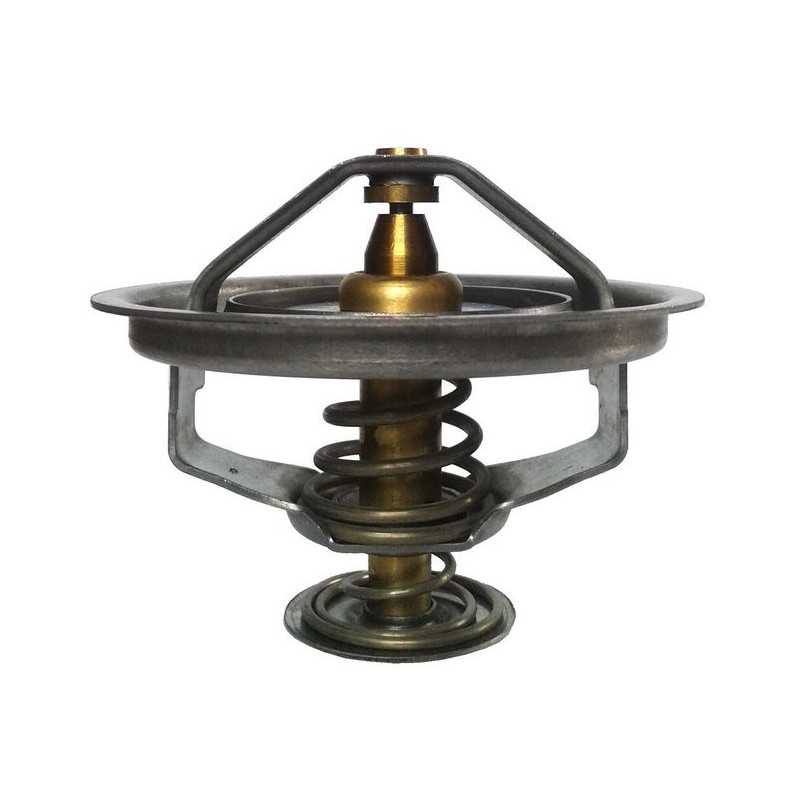 Aušinimo skysčio termostatas thermotec d2fe001tt