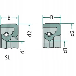 Bilabialinis žiedas ursus c 360 c 385 ir darinys