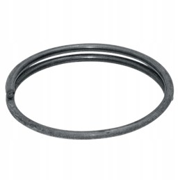 Pierscien 395204044 Walterscheid