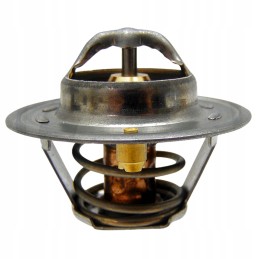 Termostatas 79 korpusas ih 54mm 74702160 granitas