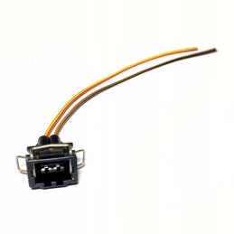 JPT Delphi kištukas 2 kontaktai su laidais