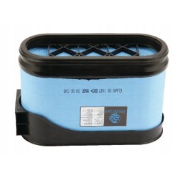 Originalus oro filtras