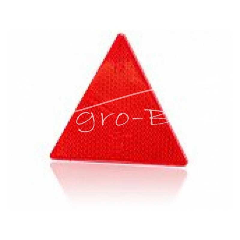 Atspindintis trikampis buvo