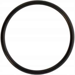 Fendt Vario hidraulinio filtro žiedas f339860060040