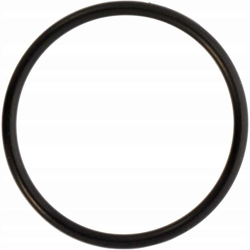 Fendt Vario hidraulinio filtro žiedas f339860060040